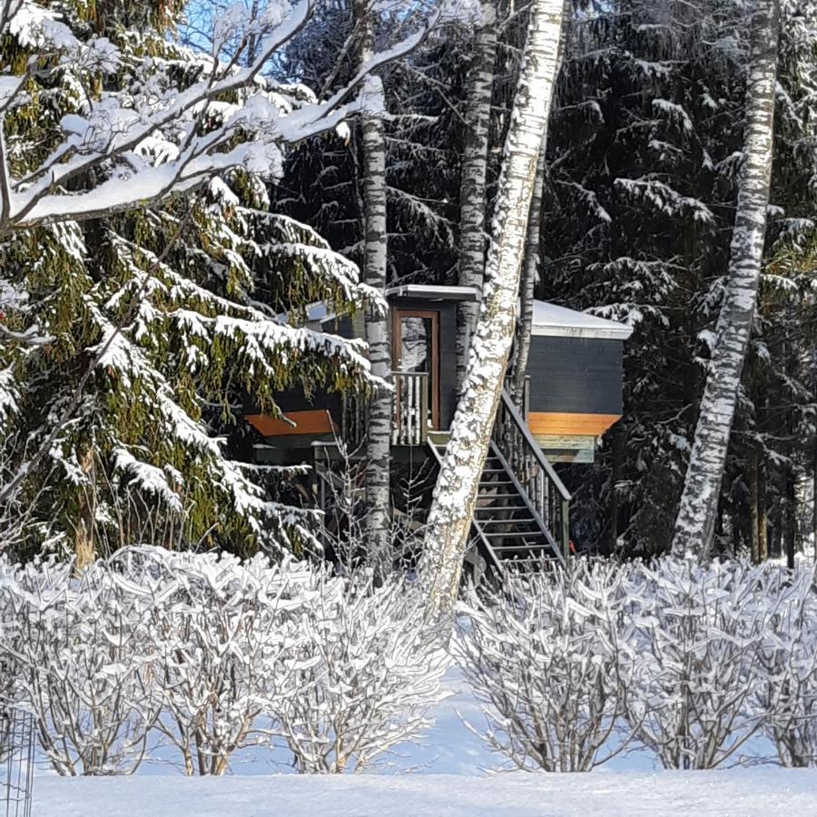 Spa Glamping Kirikumoisa Екстериор снимка