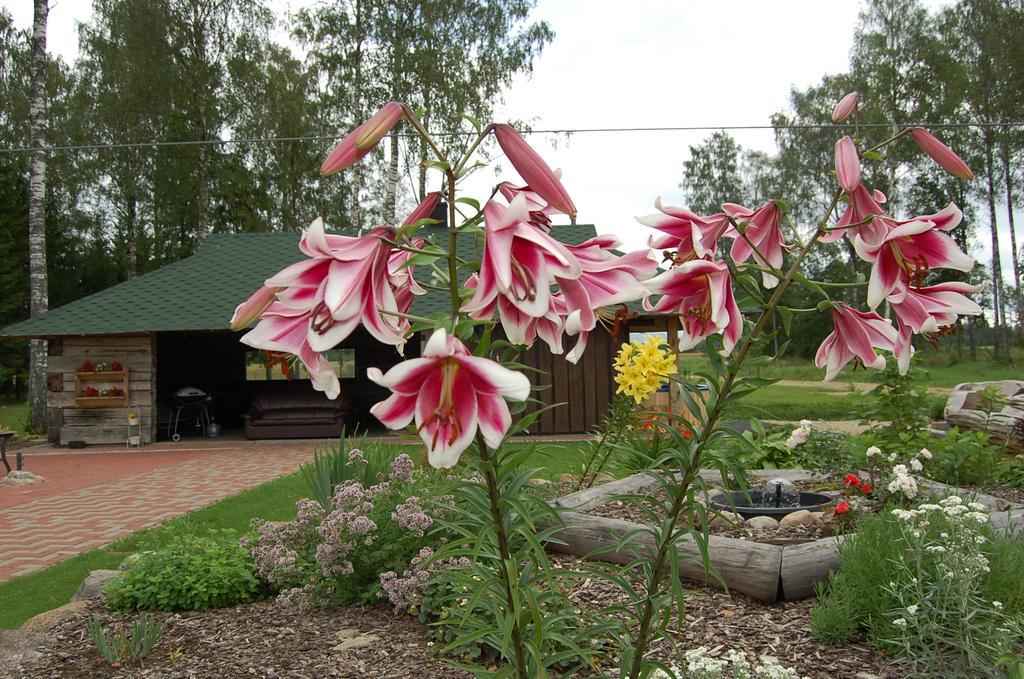 Spa Glamping Kirikumoisa Екстериор снимка
