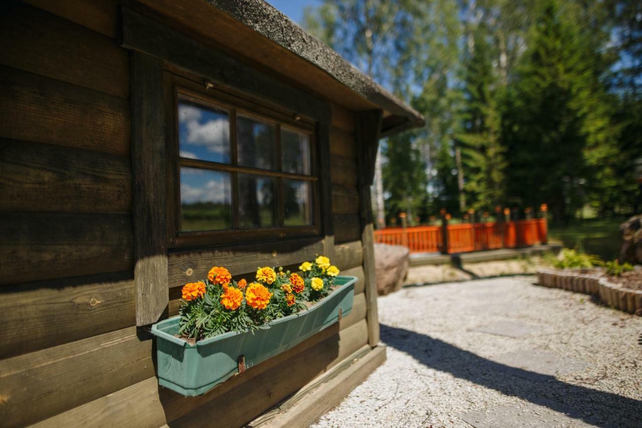Spa Glamping Kirikumoisa Екстериор снимка